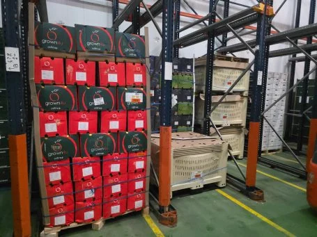 Contenedores Palot en instalaciones logísticas