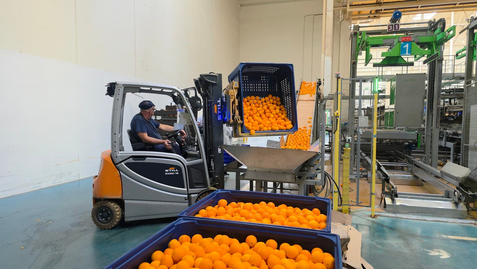 Palot azul con naranjas en una central hortofrutícola